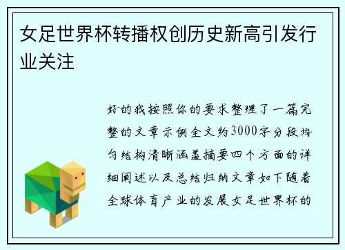 女足世界杯转播权创历史新高引发行业关注
