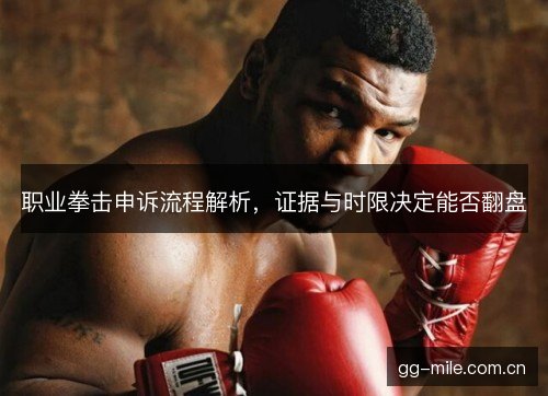 职业拳击申诉流程解析，证据与时限决定能否翻盘